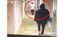 神秘最新爆料视频在线观看,揭秘背后惊人真相！