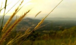 风景最新爆料视频下载大全,一睹绝美风光瞬间