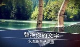 风景最新爆料视频下载大全,一睹绝美风光瞬间