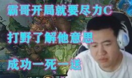 石头哥前妻爆料视频,揭秘婚姻内幕与情感纠葛