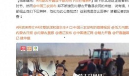 陈力铭爆料新闻报道视频,最新爆料新闻报道视频深度解析