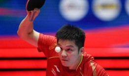 爆料樊振东事件视频,真相与争议交织