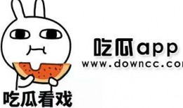 网红视频吃瓜网址下载,热门视频背后的秘密大揭秘