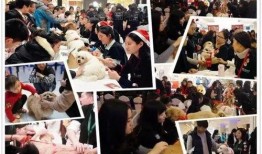 救助动物感人视频爆料,救助动物感人视频背后的感人故事