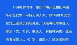 肇庆市热点爆料事件最新,惊心动魄的救援行动纪实