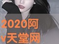 阿v天堂在线观看,在线观看的奇幻之旅