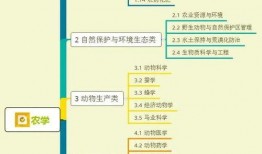 乾坤正道爆料视频大全集,揭秘真相与内幕