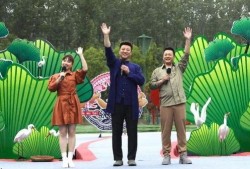 瓶子爆料最近新闻视频,最新新闻视频揭秘事件真相
