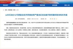 山东爆料最新消息视频大全,热点事件大盘点