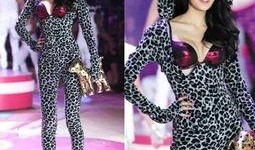 圈内八卦爆料秦舒培