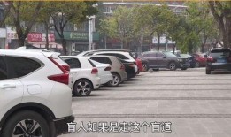 多人停车官方爆料视频,多人停车挑战背后的惊险瞬间