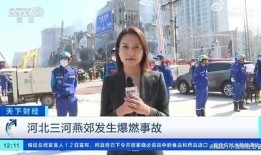 大伟哥采访爆料视频,独家爆料背后的故事与真相
