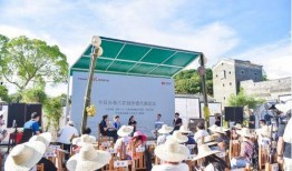今日头条爆料三农,聚焦乡村振兴战略下的农村发展新动向