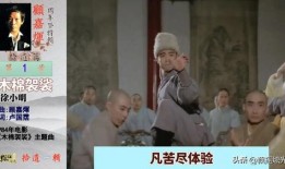 木棉袈裟在线观看,穿越时空的救赎之旅