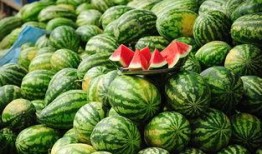 北美网红吃瓜视频网站大全