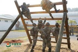 虎刺拳爆料视频