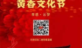 致远食堂爆料事件视频播放,揭秘校园食堂背后的真相