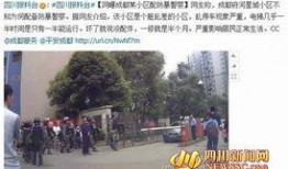 成都爆料新闻打什么电话,揭秘城市热点，一键拨打获取最新资讯