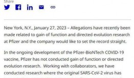 辉瑞最新爆料是真的吗,真相还是炒作？揭秘事件真相