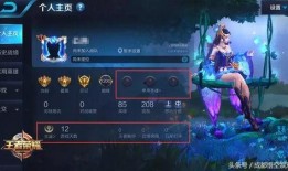 在哪里看王者最新爆料