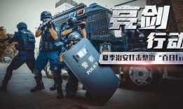 利剑行动在线观看,揭秘网络反恐背后的英勇故事