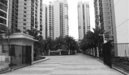 永秀花园爆料视频大全集,揭秘社区生活点滴