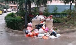 安康公安爆料最新消息,揭秘重大案件侦破进展