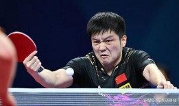 爆料樊振东事件视频,真相与争议交织